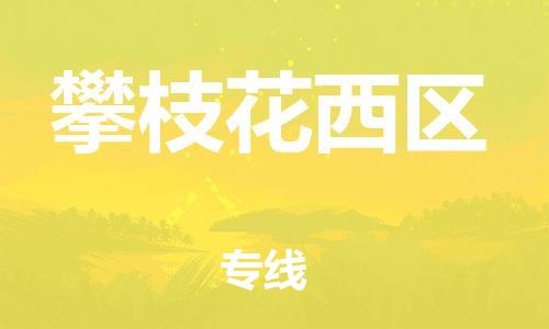 東莞到攀枝花西區物流公司,東莞到攀枝花西區物流專線直達貨運